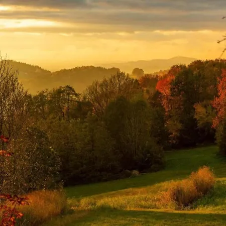 Comfortable In In Lower Bavaria