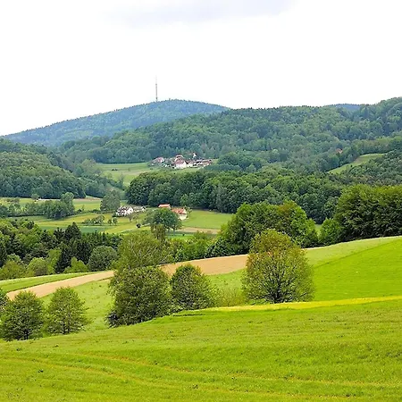 Comfortable In In Lower Bavaria Lejlighed Zenting