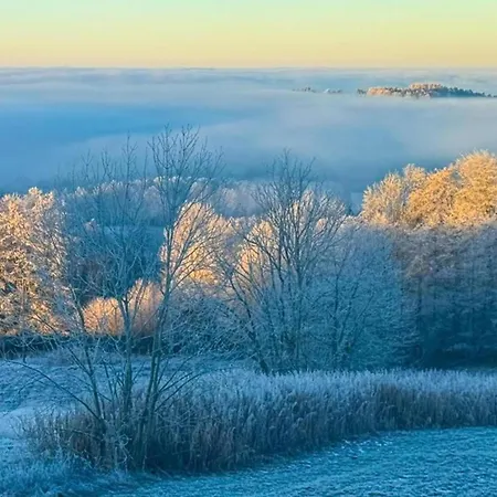 Lejlighed Comfortable In In Lower Bavaria *